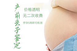 在[赣州]怀孕期间如何办理亲子鉴定，赣州孕期亲子鉴定费用多少钱啊