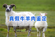 赣州羊类动物鉴定